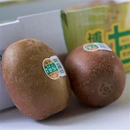 【先行受付】福岡限定!ブランドキウイ「甘うぃ(あまうぃ)」約3kg箱(24-30玉)(大野城市)_キウイ キウイフルーツ フルーツ 果物 くだもの ふるーつ 青果 国産 産地直送 ブランド 福岡 高糖度 送料無料 贈答_【配送不可地域：離島】【1125951】