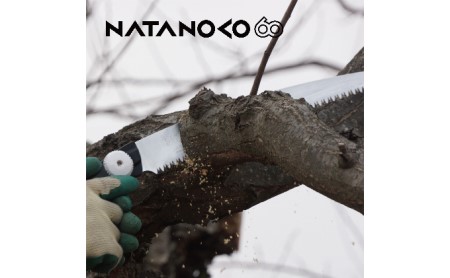 900-76　山林の太枝剪定・枝打ちに シルキー鞘入鋸セットD 雑貨 日用品 