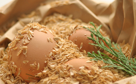 卵 定期便 6ヶ月 播州こく旨卵 50個入り＋割れ保証5個付 高級 たまご 鶏卵 高級卵 高級たまご ビタミンE ビタミン TKG 卵かけご飯 送料無料 冷蔵 冷蔵配送 兵庫 兵庫県 小野市 定期 6回