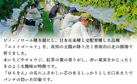 高知の新しいワイン TOSAワイン山北1本 iw-0002