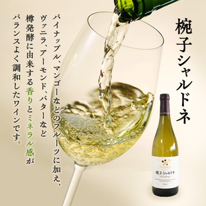 ワイン 椀子ヴィンヤードを味わう 定番 2本 セット 赤ワイン 白ワイン 酒 アルコール