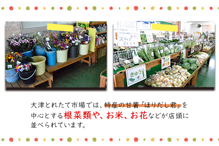 熊本県大津町産 季節の野菜セット(6～8種類)《60日以内に出荷予定(土日祝除く)》野菜 冷蔵 JA菊池 大津中央支所 とれたて市場