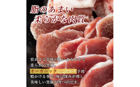 豚肉 薄切り 小分け 計3kg 200g×15パック【米平種豚場ふくふく黒豚の里】B-119