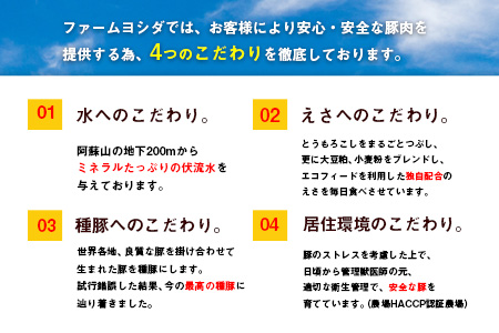 えころとん・豚肉5種(計1025g) バーベキュー・焼肉のたれセット《60日以内に出荷予定(土日祝除く)》熊本県産 有限会社ファームヨシダ
