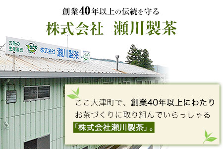 ＜特撰＞玉緑茶(たまりょくちゃ)「一番茶」《60日以内に出荷予定(土日祝除く)》100g×8本 熊本県 大津町産 株式会社 瀬川製茶