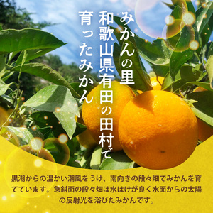 H6012n_【2026年先行予約】天の恵み 温州みかん 訳あり 5kg【ミカン 蜜柑 柑橘 温州みかん 和歌山】