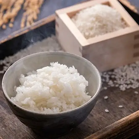 【令和7年産】青森県産まっしぐら10kg【配送不可地域：離島・沖縄県】【1017940】