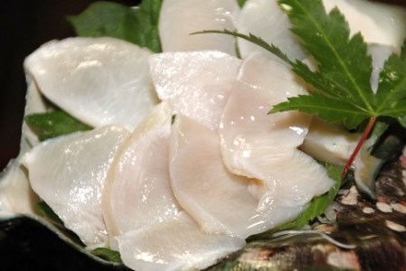 【2025年12月から発送】【真空冷凍】夜光貝の刺身１ｋｇ・冷凍ソデイカ１ｋｇセット