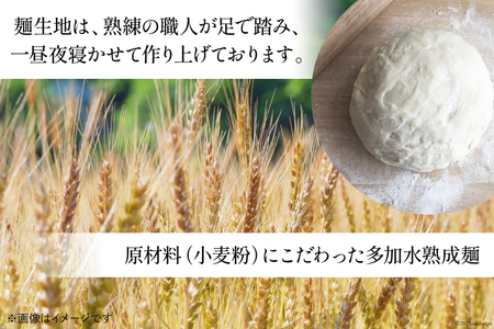 うどん 古式熟成 手打ち 生うどん 300g 8パック めんつゆ 500ml セット [ 武州めん 埼玉県 小川町 003]