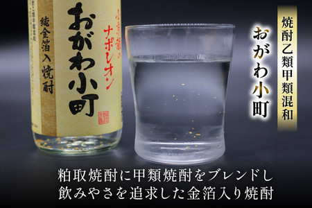 晴雲 武州おがわの焼酎セット [晴雲酒造 埼玉県 小川町 369]