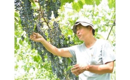 No.039 武蔵ワイナリー  農薬不使用ワイン 小川小公子2017 750ml ／ お酒 赤ワイン 自然派ワイン＜武蔵ワイナリー＞【埼玉県小川町】