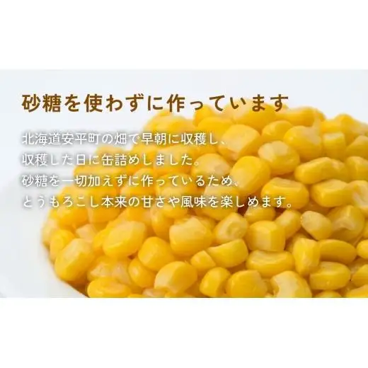 とうもろこし缶 スイートコーン缶 24個入り　2025年収穫分 とうもろこし コーン