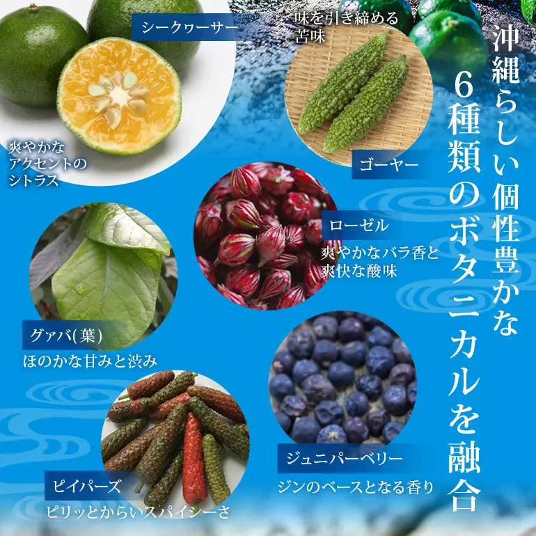 オキナワ ジン 700ml 3本 GIN まさひろ酒造 クラフトジン 国産 泡盛 焼酎 沖縄 地酒 スピリッツ シークヮーサー 柑橘 家飲み 宅飲み お酒 人気 おすすめ 酒 35000円 沖縄産 セット プレゼント ギフト 父の日 さけ 瓶