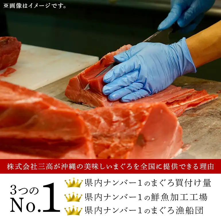 沖縄県産 本まぐろネギトロ 1kg 200g×5パック 大容量 小分け お徳用 海鮮 冷凍 たたき 鮪 生食用 沖縄 糸満市 三高水産 まぐろたたき セット ネギトロ 国産マグロ マグロ ねぎとろ 天然 国産 個包装 手巻き寿司 ねぎとろ丼 海鮮丼 業務用 まぐろ 101-3