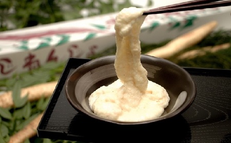自然薯 約1kg 錦町産 桑原農園 配送不可：離島 