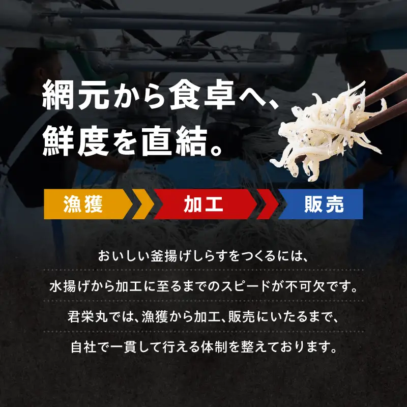 しらす漁師直売！「湘南釜揚げしらすセットA」 M050-001 魚 冷凍