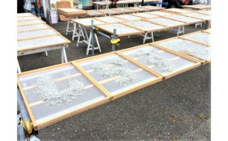 しらす漁師直売！「湘南釜揚げしらす・沖漬けセット」C M050-003 魚 冷凍