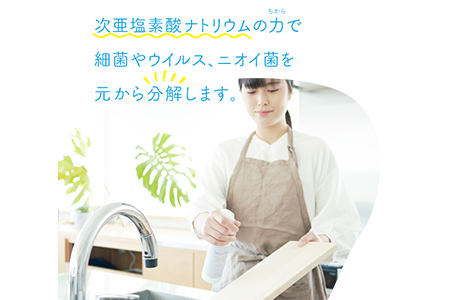 SteriNa 除菌・消臭スプレー 300ml×2本 ／ ステリナ 安全 ノンアルコール 除菌 消臭 スプレー 無香料 茨城県 五霞町
