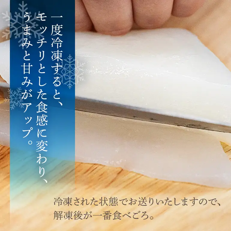 ソデイカ 約3kg いか  セーイカ