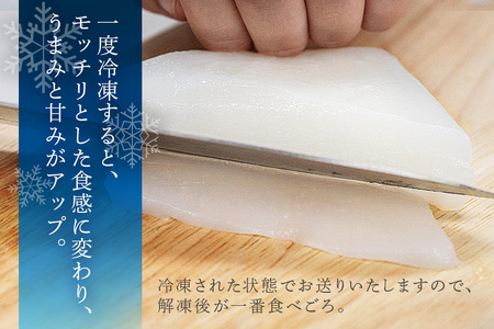 ソデイカ 約1kg いか  セーイカ