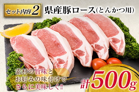 豚肉 3種 バラエティ セット 合計2kg 国産 宮崎県産 ポーク 豚ロース 切り落とし スライス おかず お弁当 おつまみ 食品 グルメ しゃぶしゃぶ とんかつ用 万能食材 焼肉 詰め合わせ 小分け 人気 おすすめ お取り寄せ おすそ分け 日南市 ミヤチク 送料無料_BB120-23