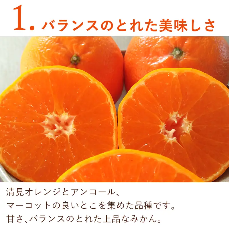 『予約受付』【令和9年1月下旬発送】麗紅(れいこう) ハウス栽培 唐津産 2.5kg 混合サイズ みかん 蜜柑 柑橘 果物 フルーツ