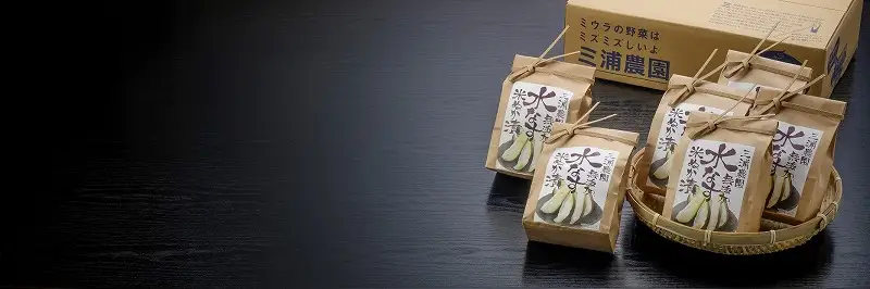 Premium水なすセット