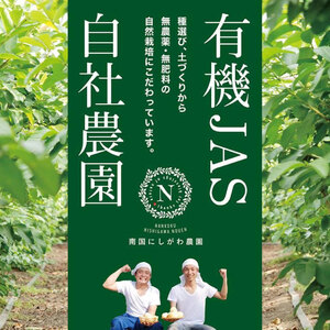 【グァバ茶】有機JAS認証 有機グアバ農園の土佐國グァバ茶（2g×10包）国産有機栽培の葉100％