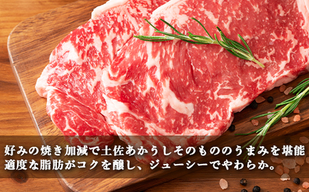 土佐あかうし 和牛サーロイン／ステーキ 500g（250g×2枚） | あか牛 赤身 旨味 希少 幻 贈り物 ギフト 高知県 南国市