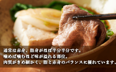 土佐あかうし 和牛ブリスケ／しゃぶしゃぶ用 500g | あか牛 赤身 旨味 希少 幻 贈り物 ギフト 高知県 南国市