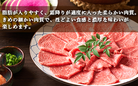 土佐あかうし 和牛クラシタ／しゃぶしゃぶ用 500g | あか牛 赤身 旨味 希少 幻 贈り物 ギフト 高知県 南国市