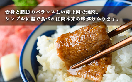 土佐あかうし 和牛カルビ／焼肉用 500g | あか牛 赤身 旨味 希少 幻 贈り物 ギフト 高知県 南国市