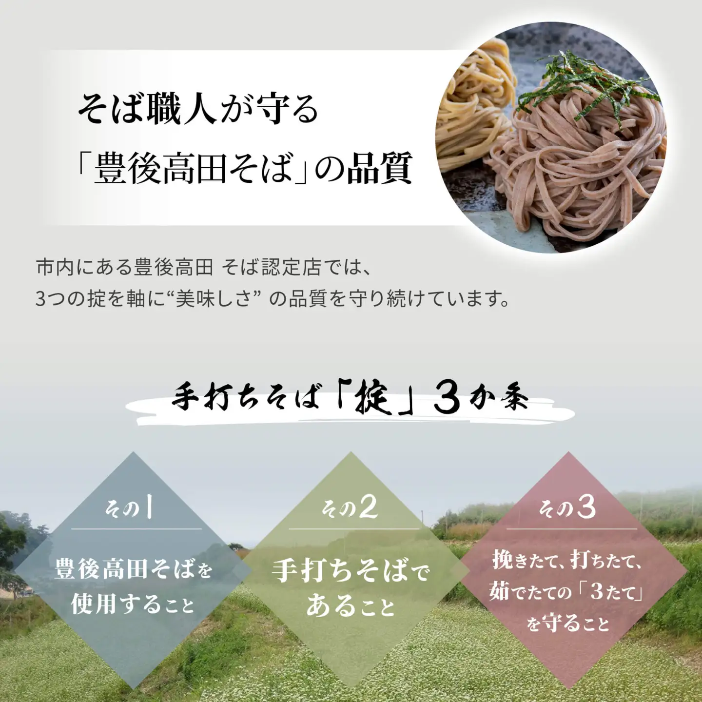 【12/17~28配送】R8秋新そば豊後高田なまそば(100g×8食・つゆ付) | 豊後高田市 年越し