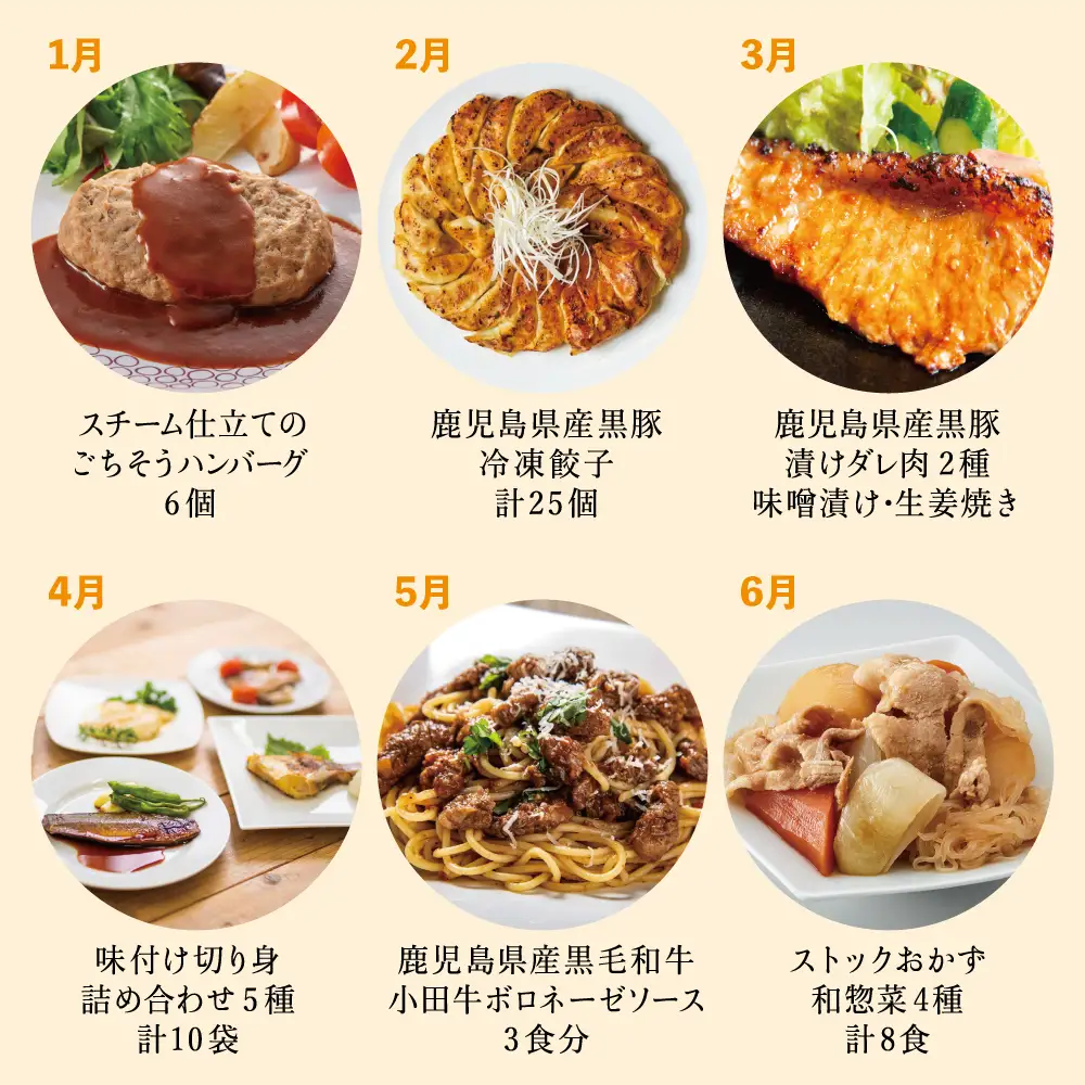 【定期便全12回】お肉とお魚の贅沢おかず定期便 毎月届くお楽しみ 惣菜 レトルト セット ハンバーグ 焼き魚 パスタソース うなぎ ビビンバ 冷凍 餃子 お吸物 鹿児島県産 黒毛和牛 黒豚 おかず コース 定期配送