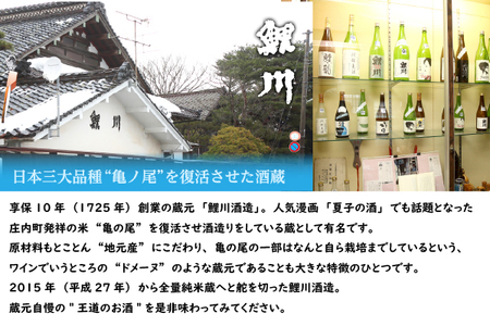 鯉川酒造「恋の川」純米酒　満月と猫ラベル（720ml×1本）【525-005B】