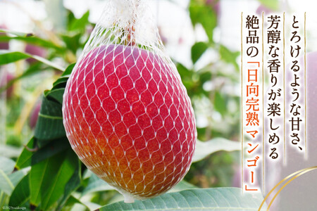 【2026年夏発送】 宮崎 完熟 マンゴー 秀品 A品 5L×2玉 化粧箱入り [宮崎県農業協同組合日向地区本部（販売課） 宮崎県 日向市 452060663]