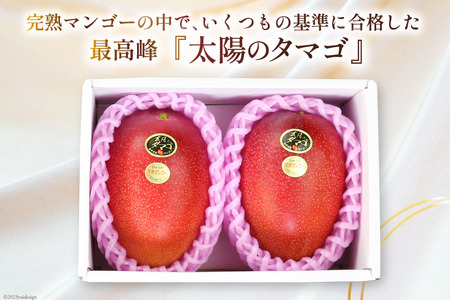 マンゴー 太陽のタマゴ 秀品 900g以上 [452060664] マンゴー