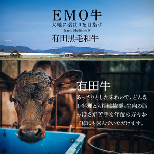 宮崎ＥＭＯ黒毛和牛 すき焼き用 ローススライス500g _K20_0017_4