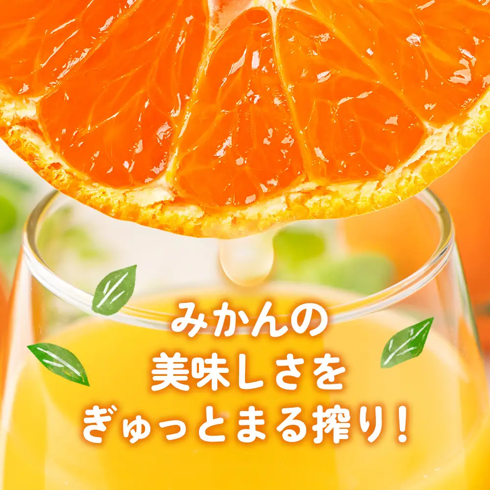 みかんジュース 南伊勢 の 五ヶ所 みかん ジュースセット ストレート ジュース こつぶ 蜜柑 果物 フルーツ 甘い 甘味 mikan 完熟 果汁100% 三重県 伊勢志摩