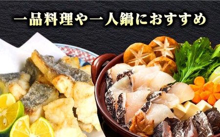 【1週間以内発送】対馬産 幻の高級魚 クエ 500g 冷凍配送 くえ アラ 切身 [WAA004] スピード発送 最速発送 最短発送