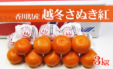 越冬完熟さぬき紅みかん 約3kg 果物類 柑橘類 フルーツ 蜜柑 ミカン くだもの 