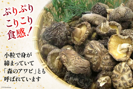 訳あり しいたけ 宮崎県産 乾燥 芽どんこ 120g 3p 計 360g [岡田商店 宮崎県 美郷町 31ac0064] 