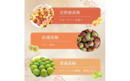 知多梅酒720ml×1本 梅酒 お酒 國盛 國盛FARM 果実酒 食前酒 リキュール ロック ソーダ割 紅南高梅 南高梅 完熟梅 フルーツ 愛知県 美浜町 中埜酒造