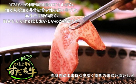 すだち牛 黒毛和牛 （焼き肉用） 600g | 鳴門 すだち 黒毛和牛 ブランド 高級 焼肉