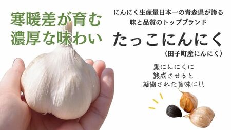 田子熟成黒にんにく90g（青森県田子町産にんにく使用）
