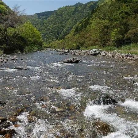 【CAS冷凍】スイカの香りと美味しさを閉じ込めた清流・高津川の天然鮎3尾/袋×3(約450g)【配送不可地域：離島】【1209578】