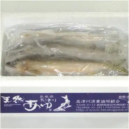 【天然もの】清流・高津川上流で捕れた天然あゆ(冷凍500g・5～10尾程度)【配送不可地域：離島】【1209707】