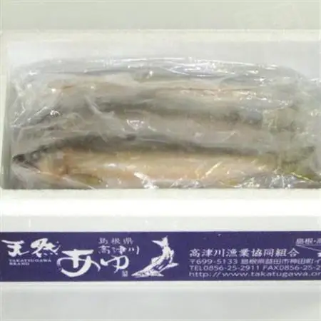 【天然もの】清流・高津川上流で捕れた天然あゆ(冷凍1200g・12～24尾程度)【配送不可地域：離島】【1209708】