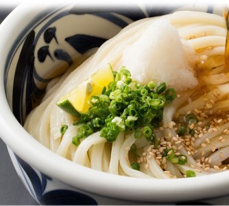 【定期便】本場純生讃岐うどん 10人前つゆ付 年３回発送（1月・5月・9月）【H-47】