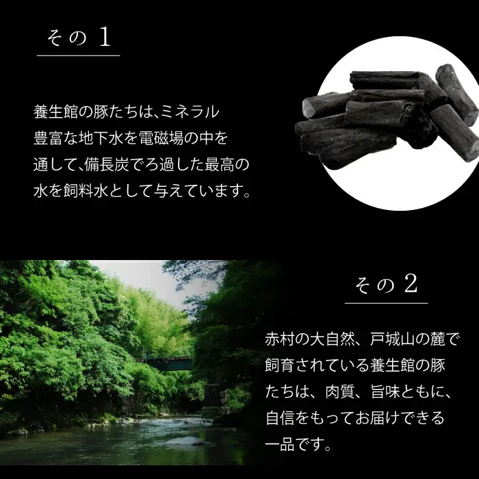 赤村養生館 豚小間切れ 6㎏ B4